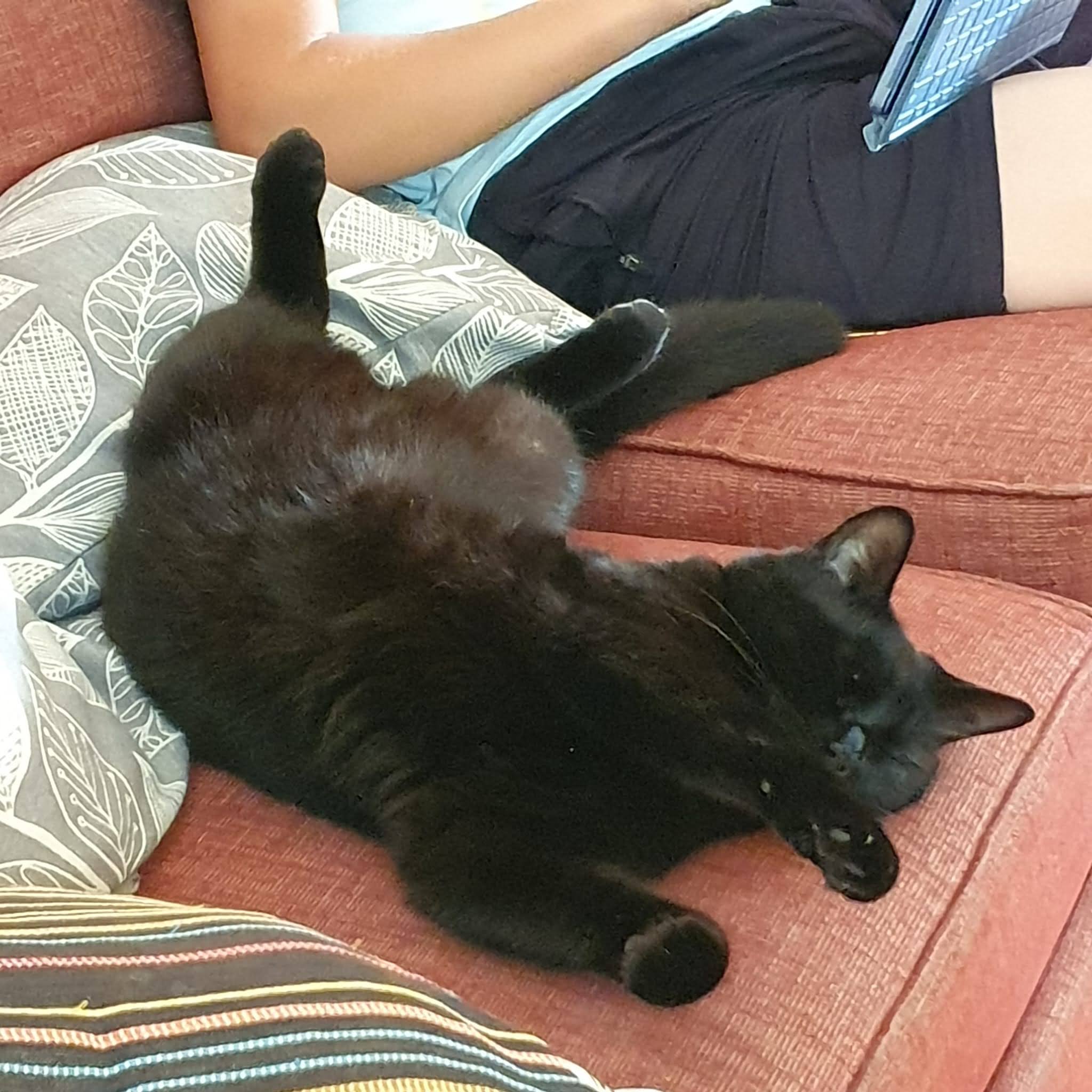 Dusty stretching