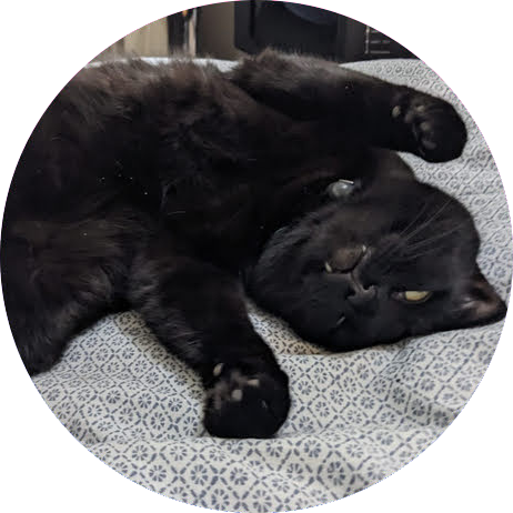Dusty upside down